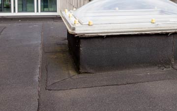 disadvantages of Rake Common flat roofs