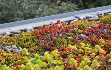 the cost of Rake Common green roof installation