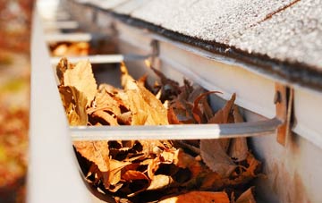 Rake Common gutter cleaning companies