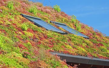 Rake Common living roof systems