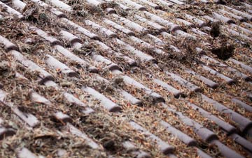 Rake Common roof cleaning companies