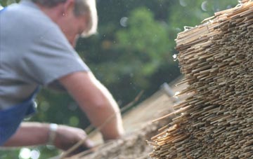 professional Rake Common thatchers