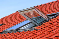 Rake Common roof window