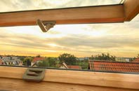 rated Rake Common roof window companies